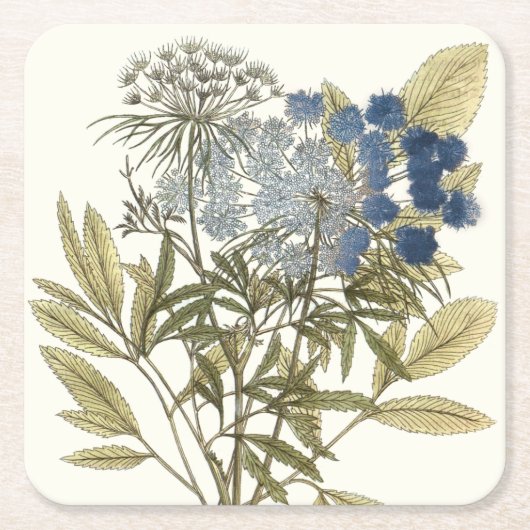 レースのよう葉 – 花と緑 スクエアペーパーコースター (正面)