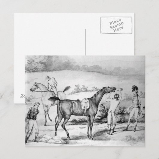 レースの準備 ポストカード (正面/裏面)