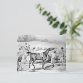 レースの準備 ポストカード (スタンド正面)