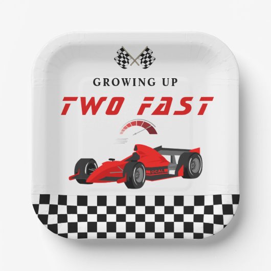 レースカーレース誕生日パーティナプキンス ペーパープレート (正面)