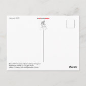 レースカーNo.2 ポストカード (裏面)