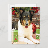 レースクリスマス-シェットランド・シープドッグ- シーズンポストカード (正面/裏面)