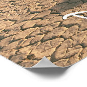 レーストラックプラヤ ポスター (角)