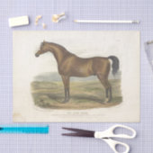 レースホースエフェメラデクページヴィンテージ 薄葉紙 (クラフト)