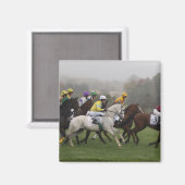 レースホースフィールド角磁石 マグネット (正面/裏面)