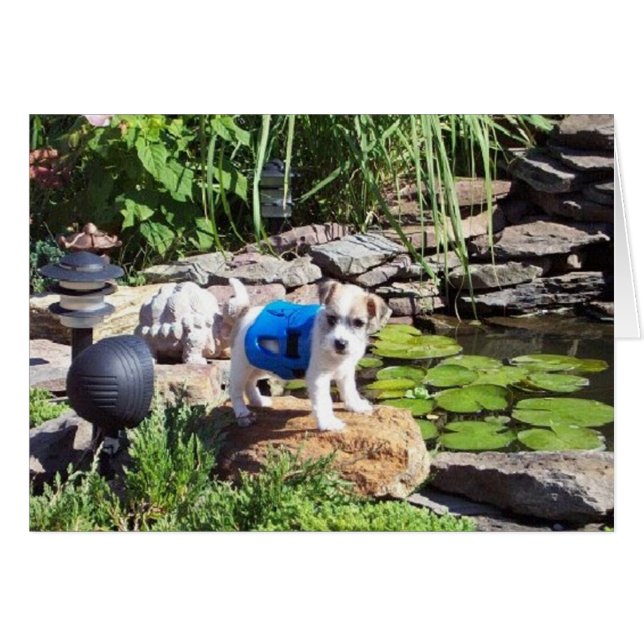 レースライフガード (正面横)