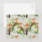 レース上のエキゾチックな鳥 ポストカード (正面/裏面)