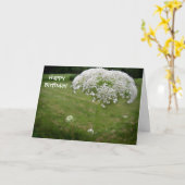 レース傘 カード (黄色い花)