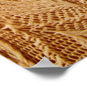 レース布質感 ポスター (角)