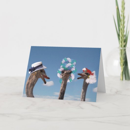 レース熱狂するの帽子の日 カード (正面)