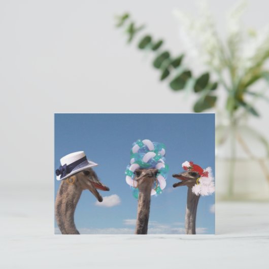 レース熱狂するの帽子の日 ポストカード (スタンド正面)