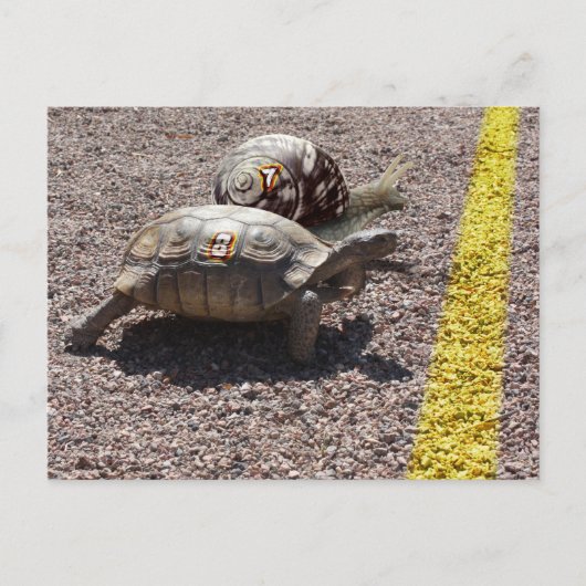 レース素晴らし ポストカード (正面)