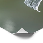 レース葉 ポスター (コーナー)