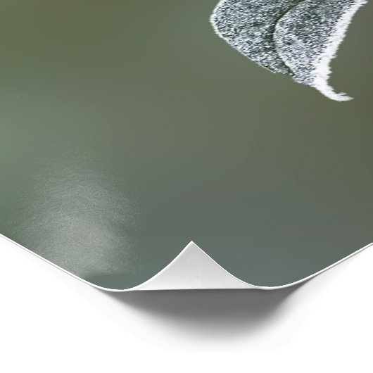 レース葉 ポスター (コーナー)