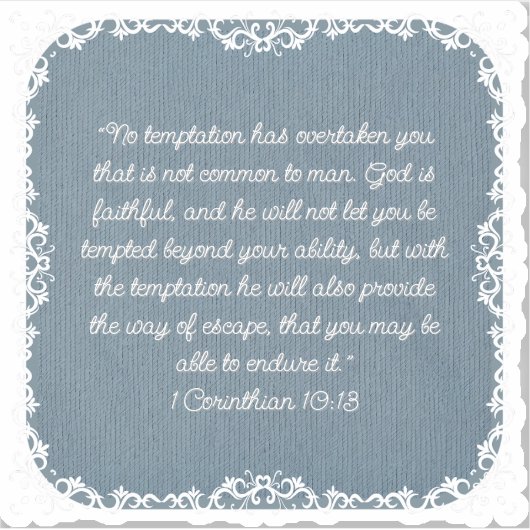 レース カスタマイズ可能な ビブ バース カスタムカット ビニール S シール (正面)