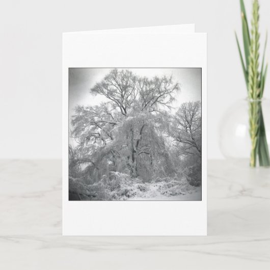 レース カード (正面)