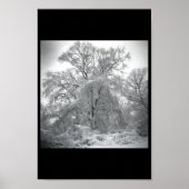 レース ポスター (正面)