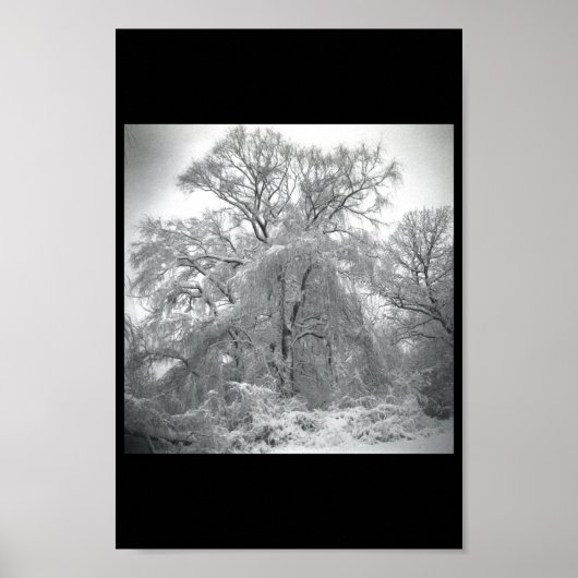 レース ポスター (正面)