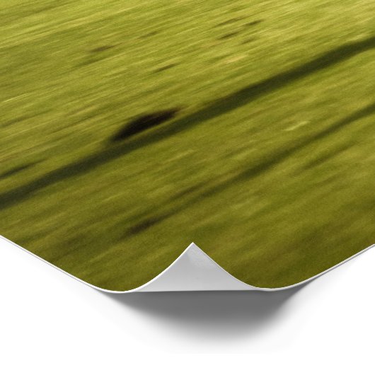 レース ポスター (角)