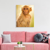 レーソスマカケベビー（マカカムラッタ） | Sariska キャンバスプリント (インサイチュ (リビング))