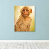 レーソスマカケベビー（マカカムラッタ） | Sariska キャンバスプリント (インサイチュ (ウッドフロア))