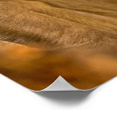 レーソスマカケベビー（マカカムラッタ） | Sariska ポスター (角)