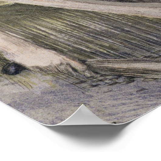 レーテスのためにエアフローカバーを編むペネロペ彼女の父親 – i ポスター (角)