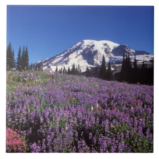 レーニア山のふもとの夏の野の花, タイル (正面)