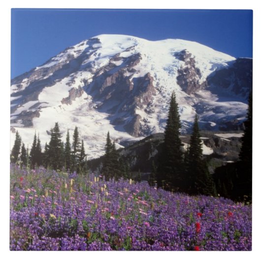 レーニア山のふもとの夏の野の花 2 タイル (正面)