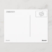 レーニア山の楽園草原の郵便はがき ポストカード (裏面)