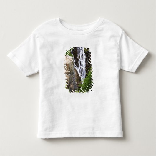 レーニア山国立公園の滝 トドラーTシャツ (正面)