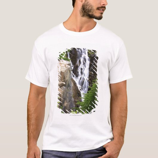 レーニア山国立公園の滝 Tシャツ (正面)