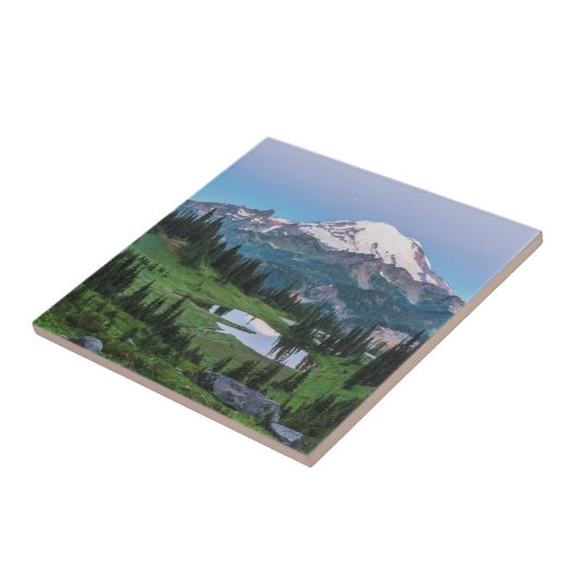 レーニア山国立公園 タイル (側面)