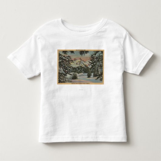レーニア山、WA -楽園のイン及びTatooshの範囲 トドラーTシャツ (正面)