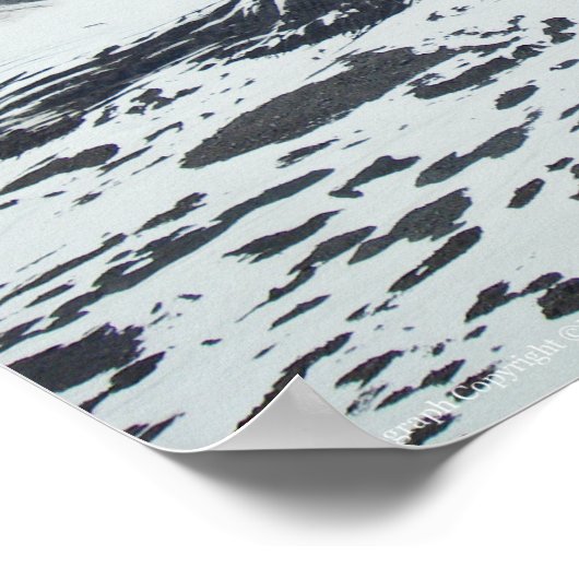 レーニア P555 ポスター (角)