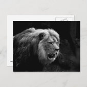 レーベ ポストカード (正面/裏面)