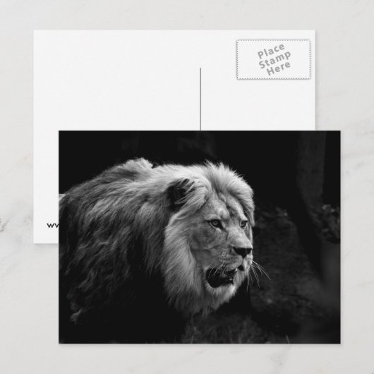 レーベ ポストカード (正面/裏面)