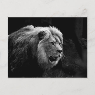 レーベ ポストカード