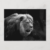 レーベ ポストカード (正面)