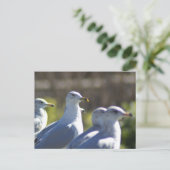 レール上のカモメ ポストカード (スタンド正面)