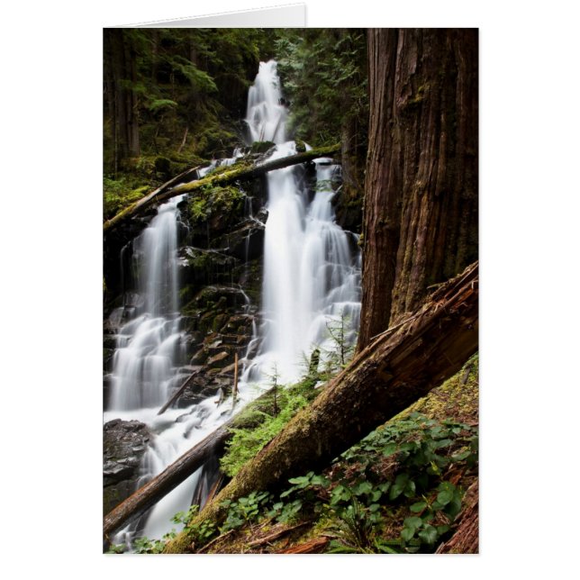 レーンジャーの滝 (正面)