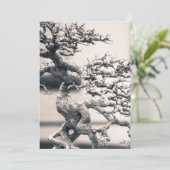 レ中国のム カード (スタンド正面)