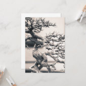 レ中国のム カード (正面/裏面インサイチュ)