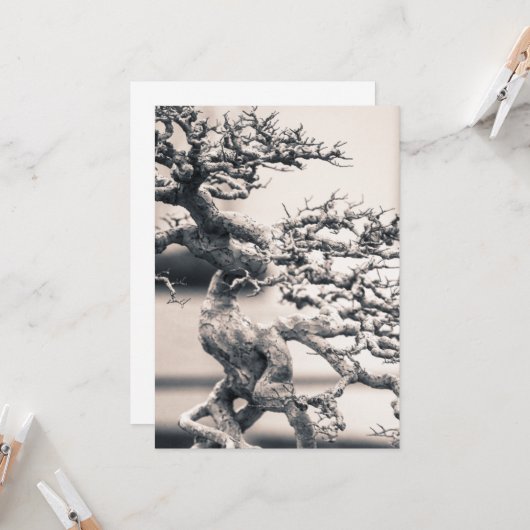 レ中国のム カード (正面/裏面インサイチュ)