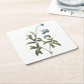 レ忘れドエのme-not(Myosotis scorpioides) スクエアペーパーコースター (アングル)