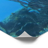 ロアタンのブラックハタ ポスター (角)