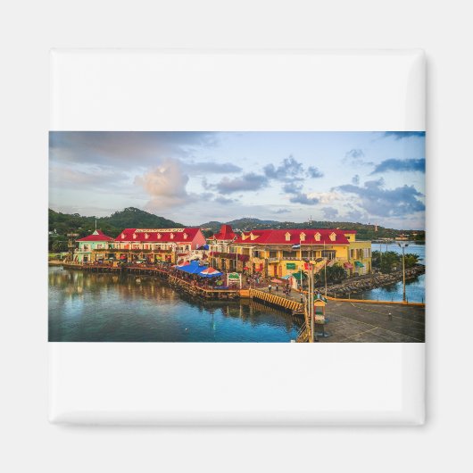 ロアタンホンジュラスポート マグネット (正面)