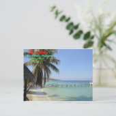 ロアタン、ベイ諸島、ホンジュラス ポストカード (スタンド正面)