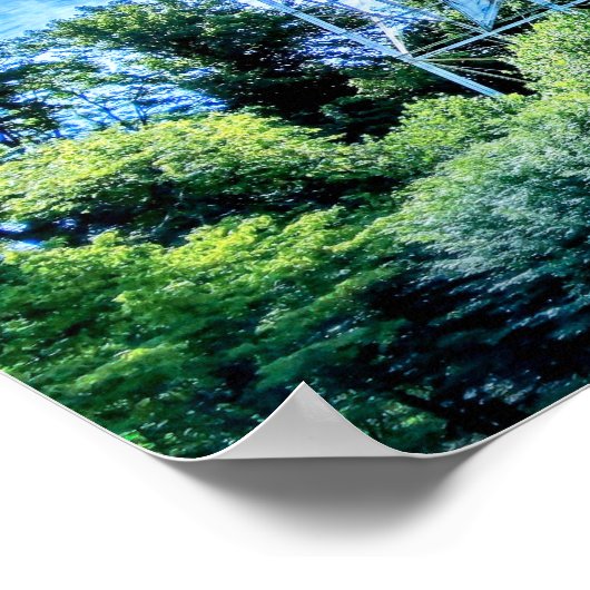 ロアノケの星 ポスター (角)