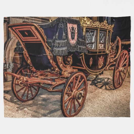 ロアルコーチ フリースブランケット (正面(横))